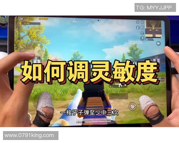 对话李敏：深入探讨和平精英职业生涯的成长与挑战